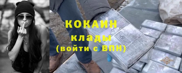 мяу мяу мука Абаза