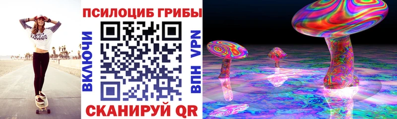 магазин Новокузнецк Псилоцибиновые грибы MAGIC MUSHROOMS